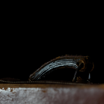 MTM.2019.0164.0166 MTM.2019.0164.0166